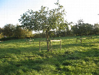 #3: Süden; view south