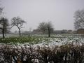 #3: The field and a farm on the background