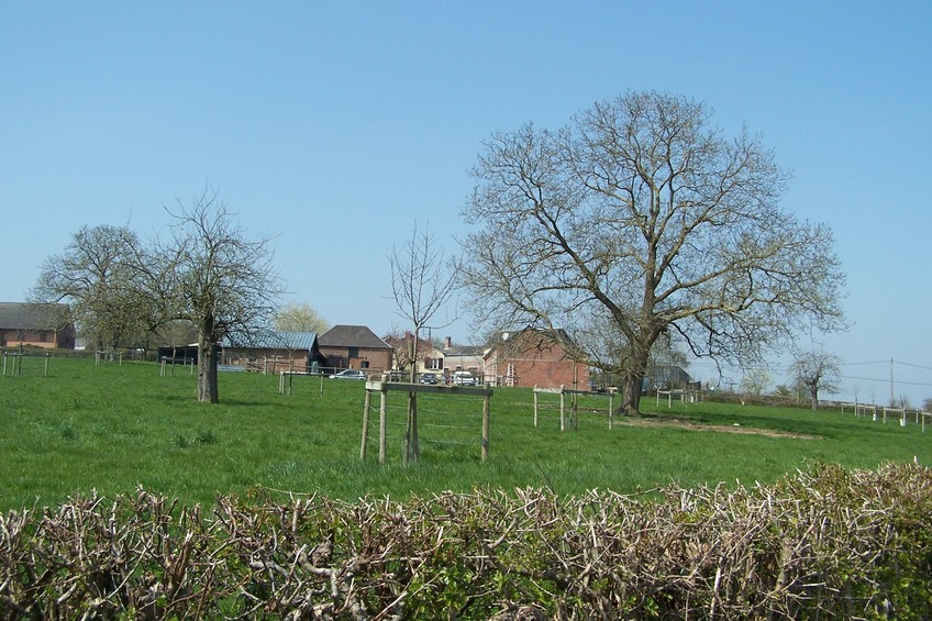 General view of the confluence (towards W)