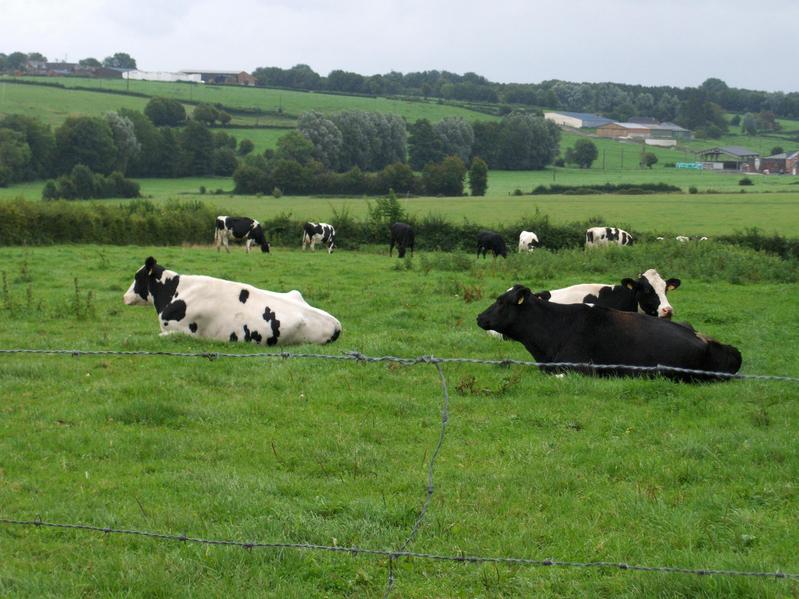 FARMING ACTIVITY IN THE AREA