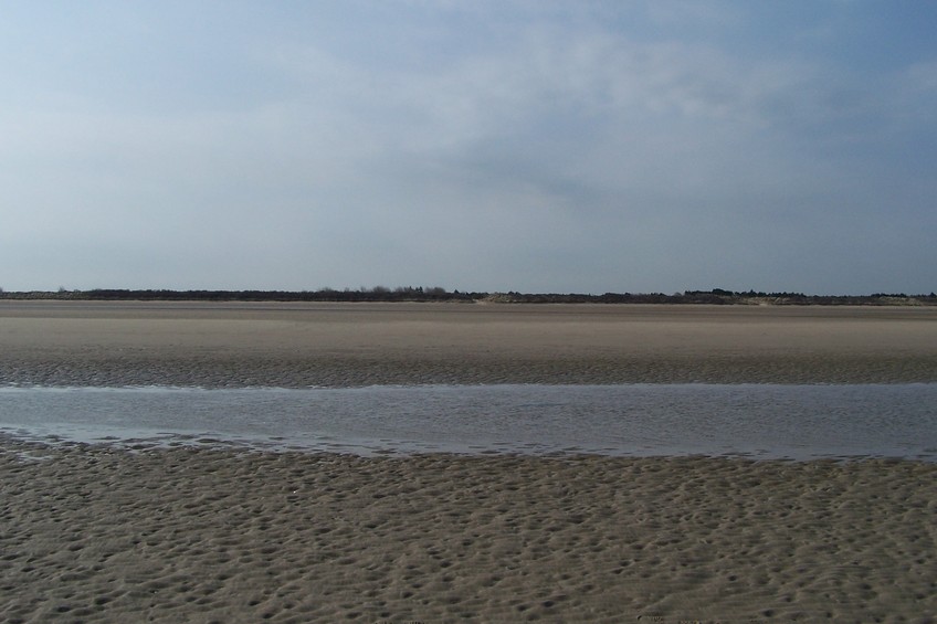 View towards S from the confluence