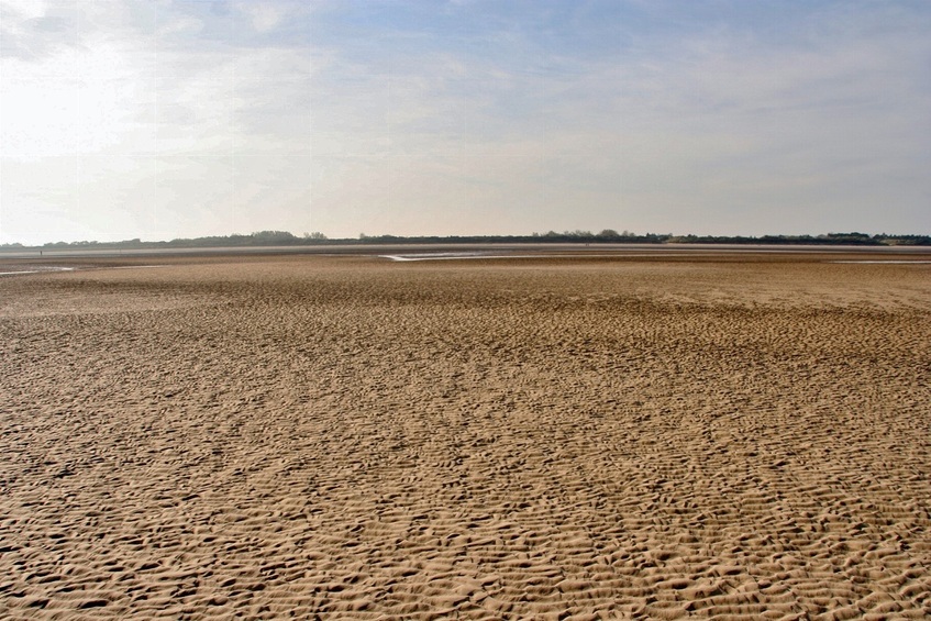 View to the East, towards the dunes