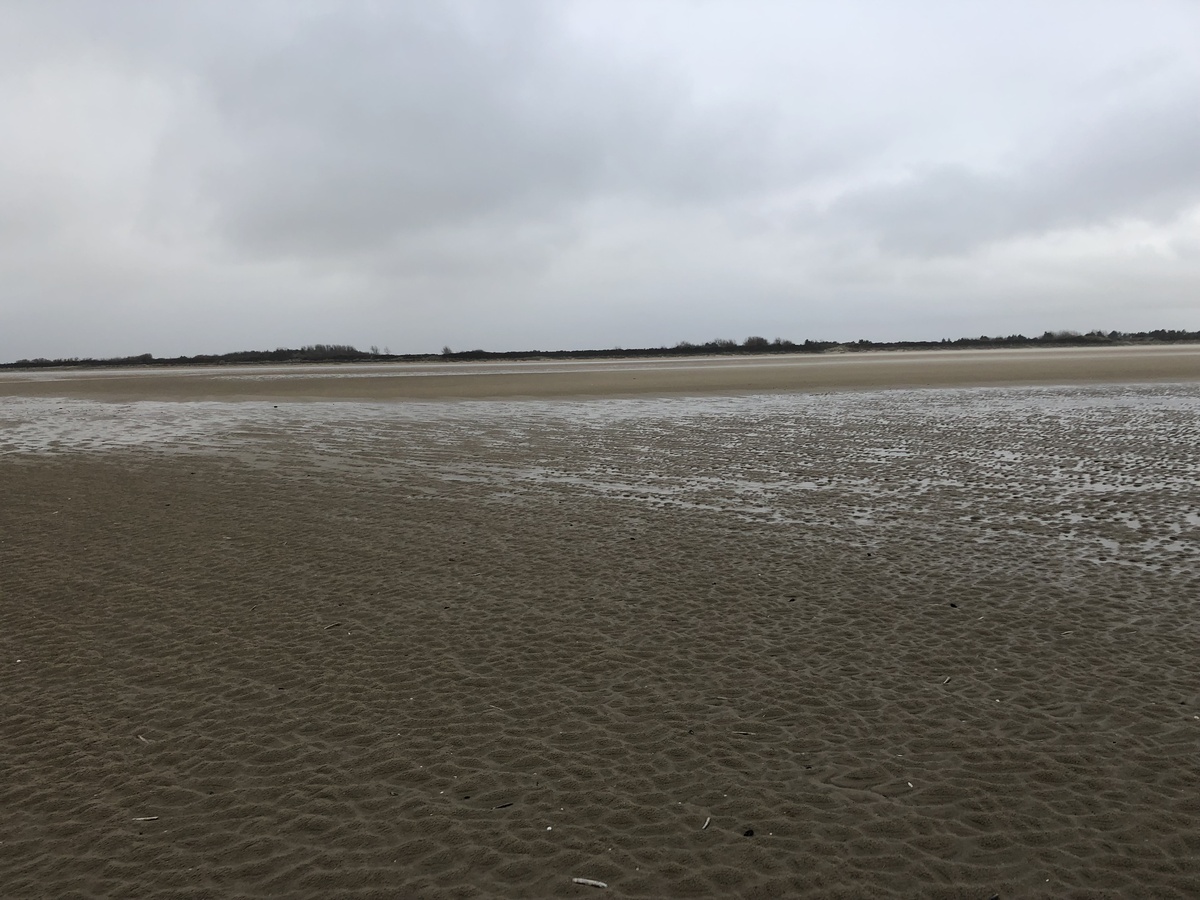 The Confluence - Looking south to the shore