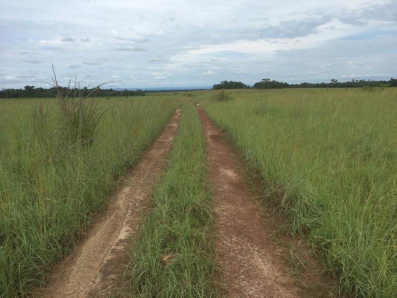 Track at the Confluence