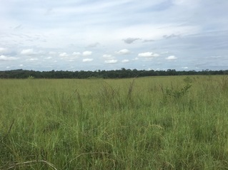 #1: The Confluence from 10 m distance