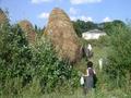 #7: Local hay stacks