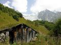 #8: Cattleman's hut 2 km from confluence point