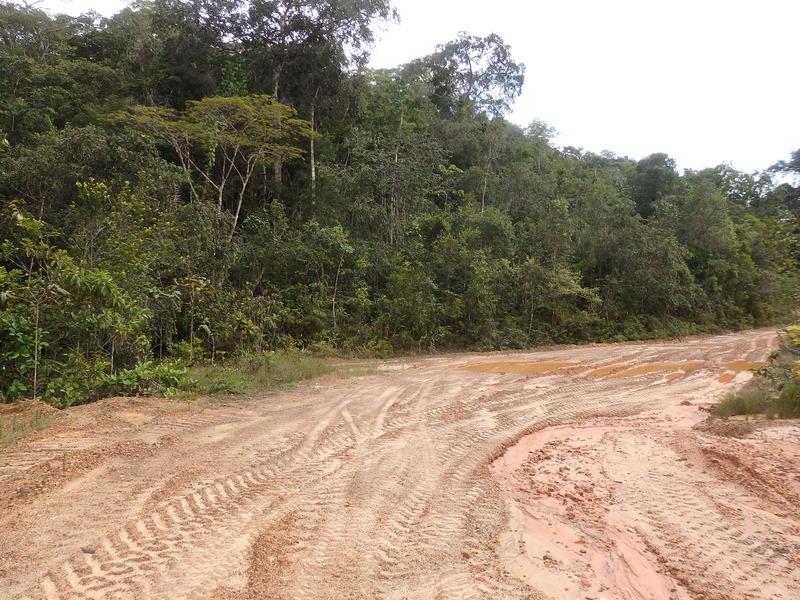 Road conditions near the confluence point