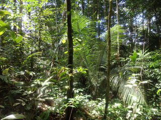 #1: Looking towards the Confluence from 1.8 km distance