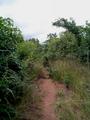 #6: Trail we found leading towards the confluence point