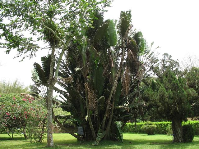 Aburi Botanical Garden