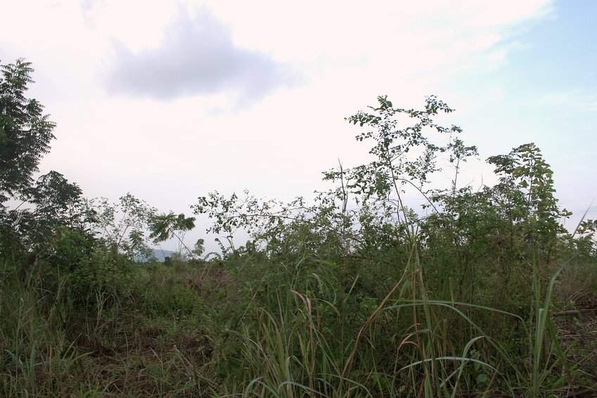 East of the Confluence