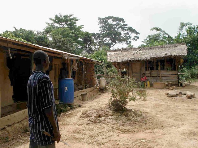 Cocoa farmers (some 200 m from point)