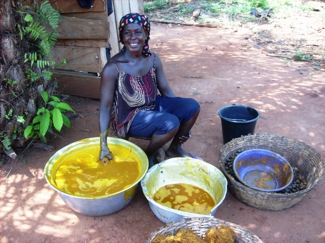 Producing palm oil at Kwame Agi 7N 3W