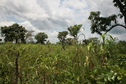 #2: Looking north at Confluence