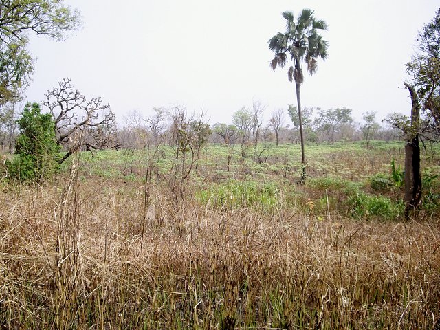 Looking south from the confluence