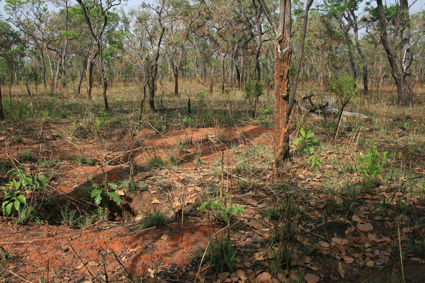 Confluence point area