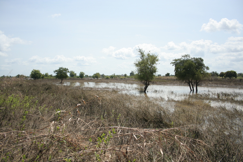 View to the West (Confluence is somewhere off in the distance)