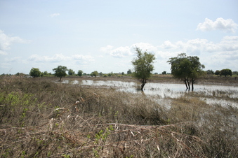 #1: View to the West (Confluence is somewhere off in the distance)