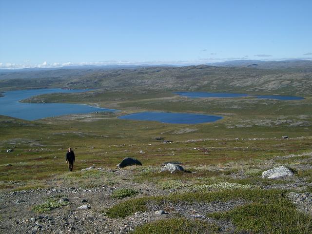 The View From Mt. Evans