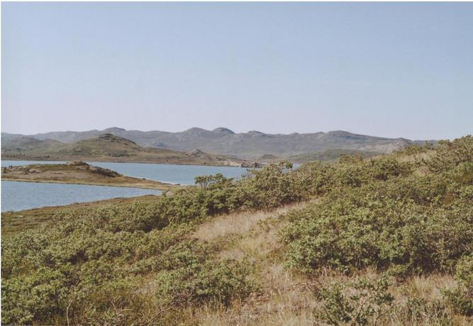 View west: lake #3, second lake: Hundeso (salt lake)