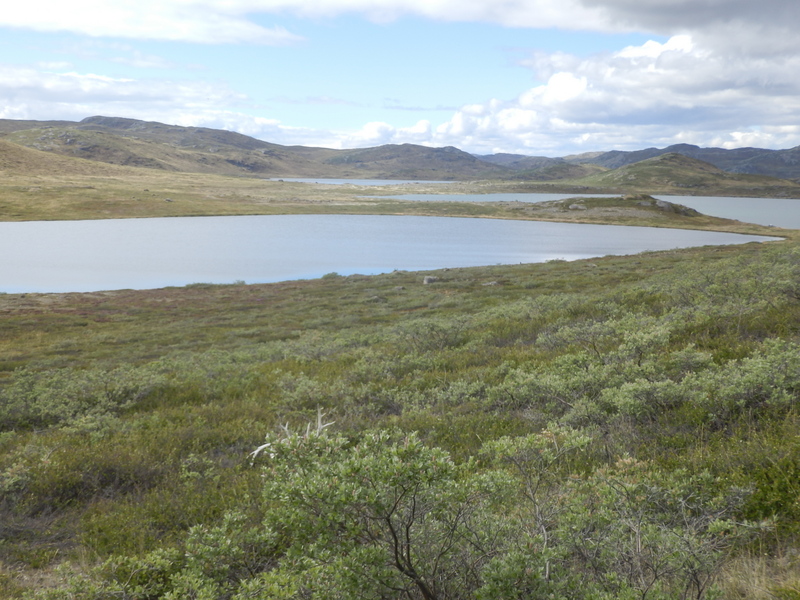 The Confluence from 25 m distance