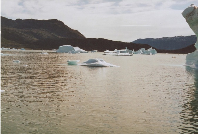 View west (peninsula Nussuaq in the background)