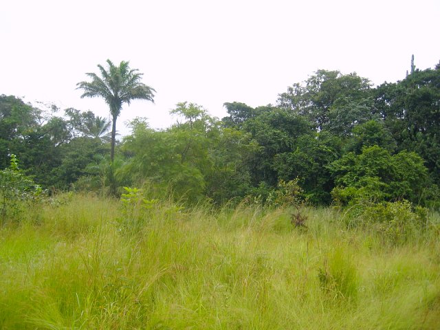 The Confluence - View to the East