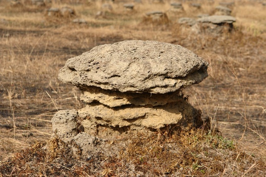 Termite mound