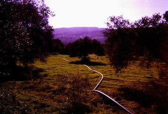 #1: looking west from confluence