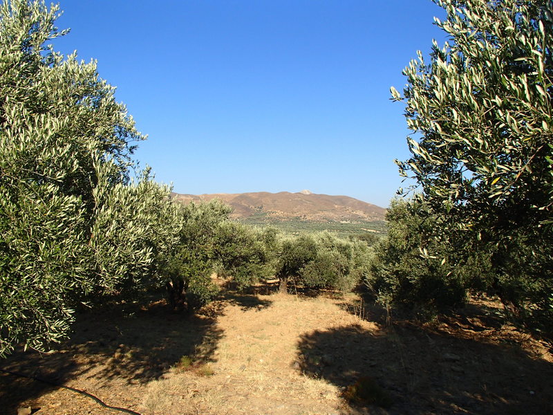 View to the mountains / Вид на горы