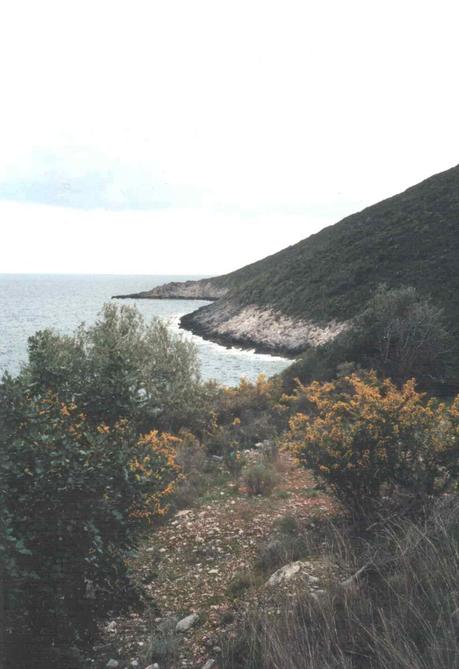 Facing south from the confluence