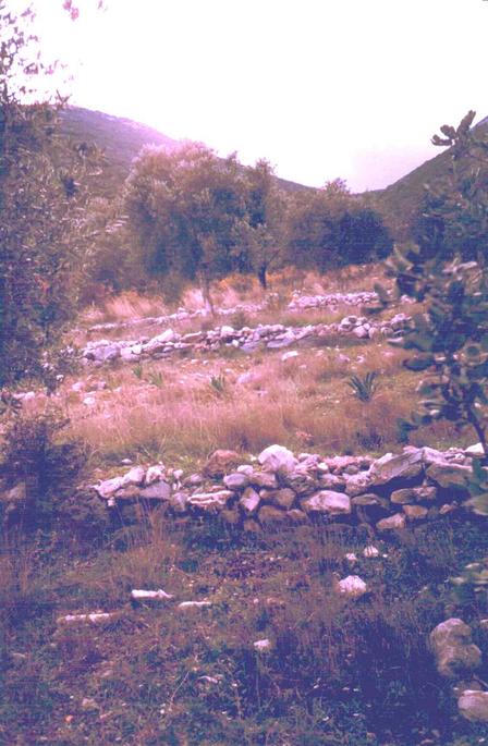 Facing west from the confluence