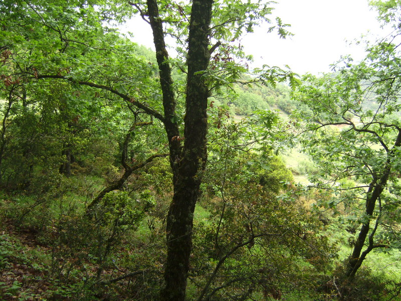 Blick nach Norden - View north