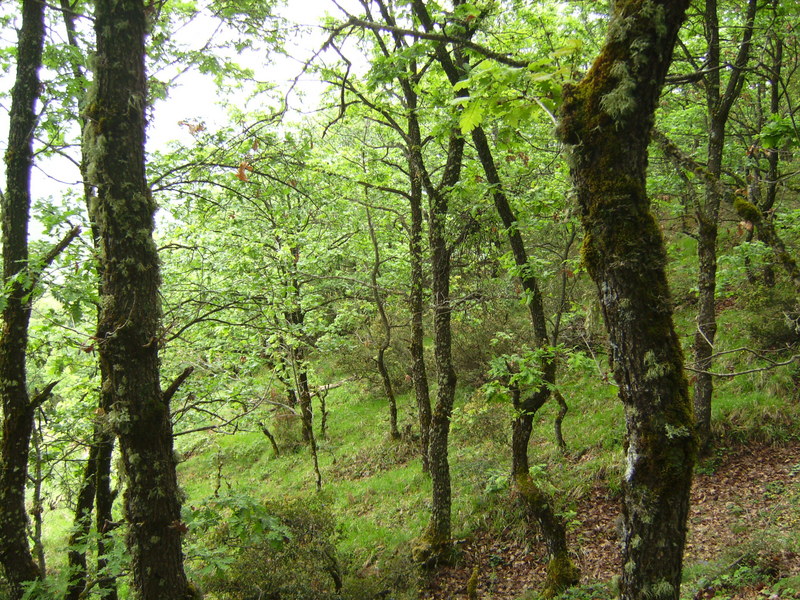 Blick nach Osten - View east