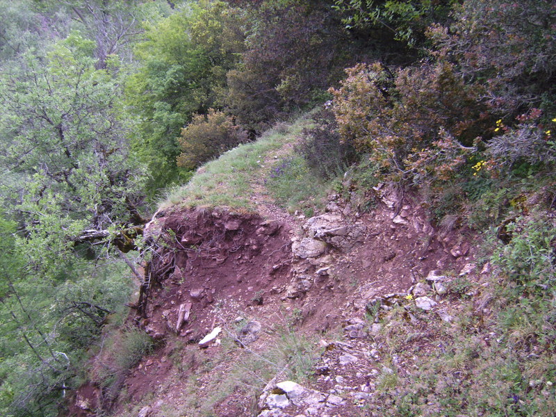 Pfad entlang der Schlucht - Path along gorge