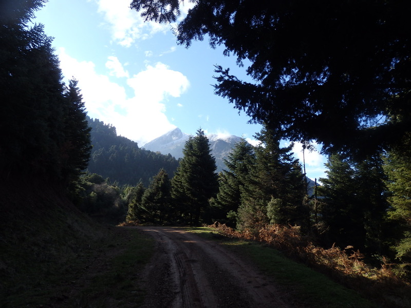 Road to the Confluence