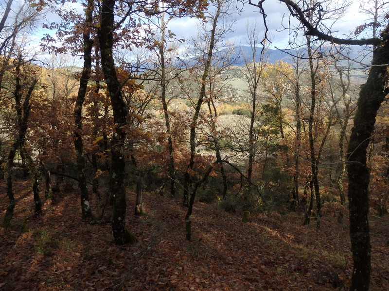 The Confluence from 10 m distance