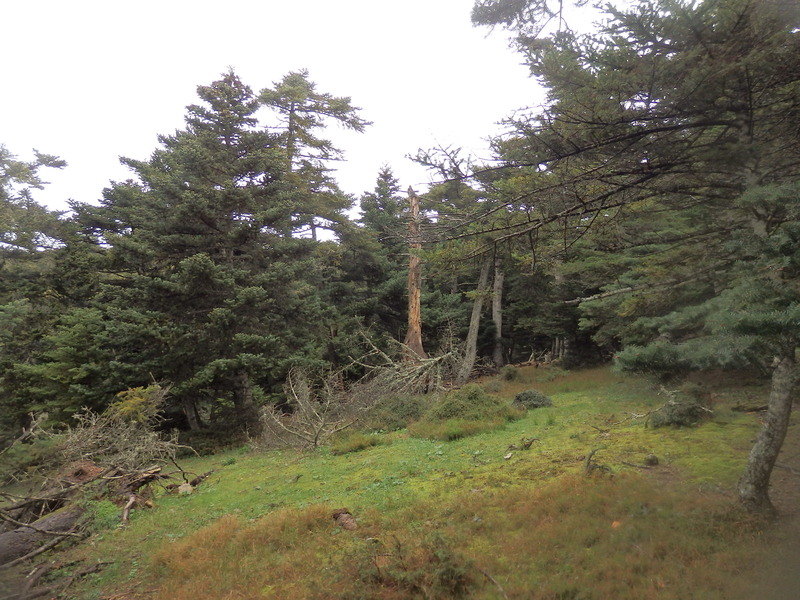 The Confluence from 20 m distance