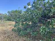 #2: View to the north from the confluence point.