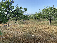 #4: View to the south from the confluence point.