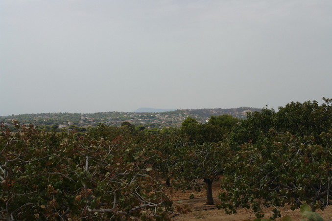 Looking west from the confluence