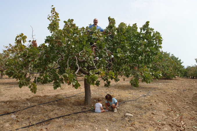 On the tree to take photos