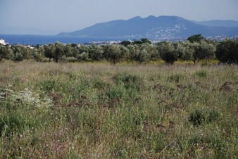 #1: Distant and general view of the confluence area