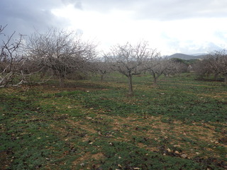 #1: The Confluence from 20 m distance