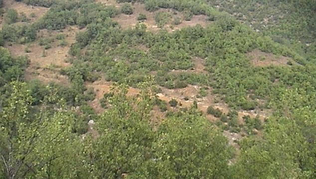 Confluence within 100m, beside the bushes (viewed from South)