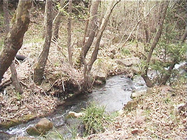 The confluence within 10 meters, in the middle of the photo