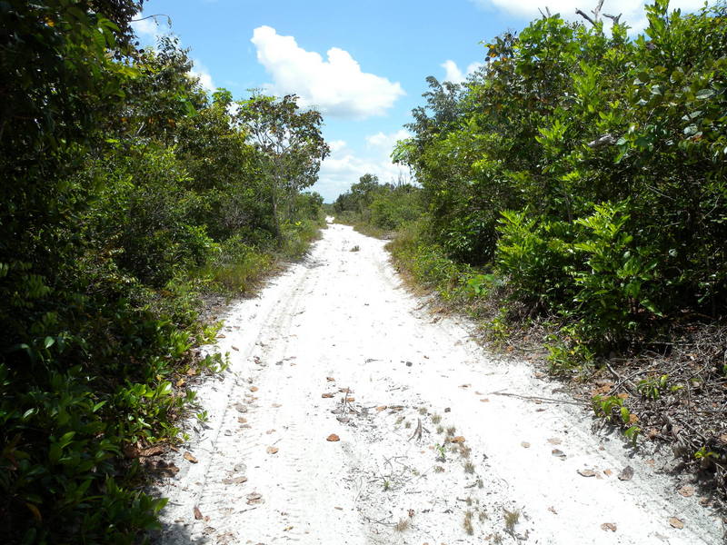 Track to the Confluence