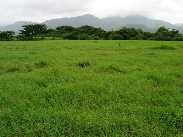 View west. Mountains partially visible.