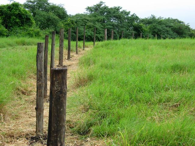 Unfinished fence 100 meters north of the confluence